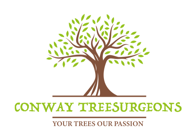 Conway Treesurgeons